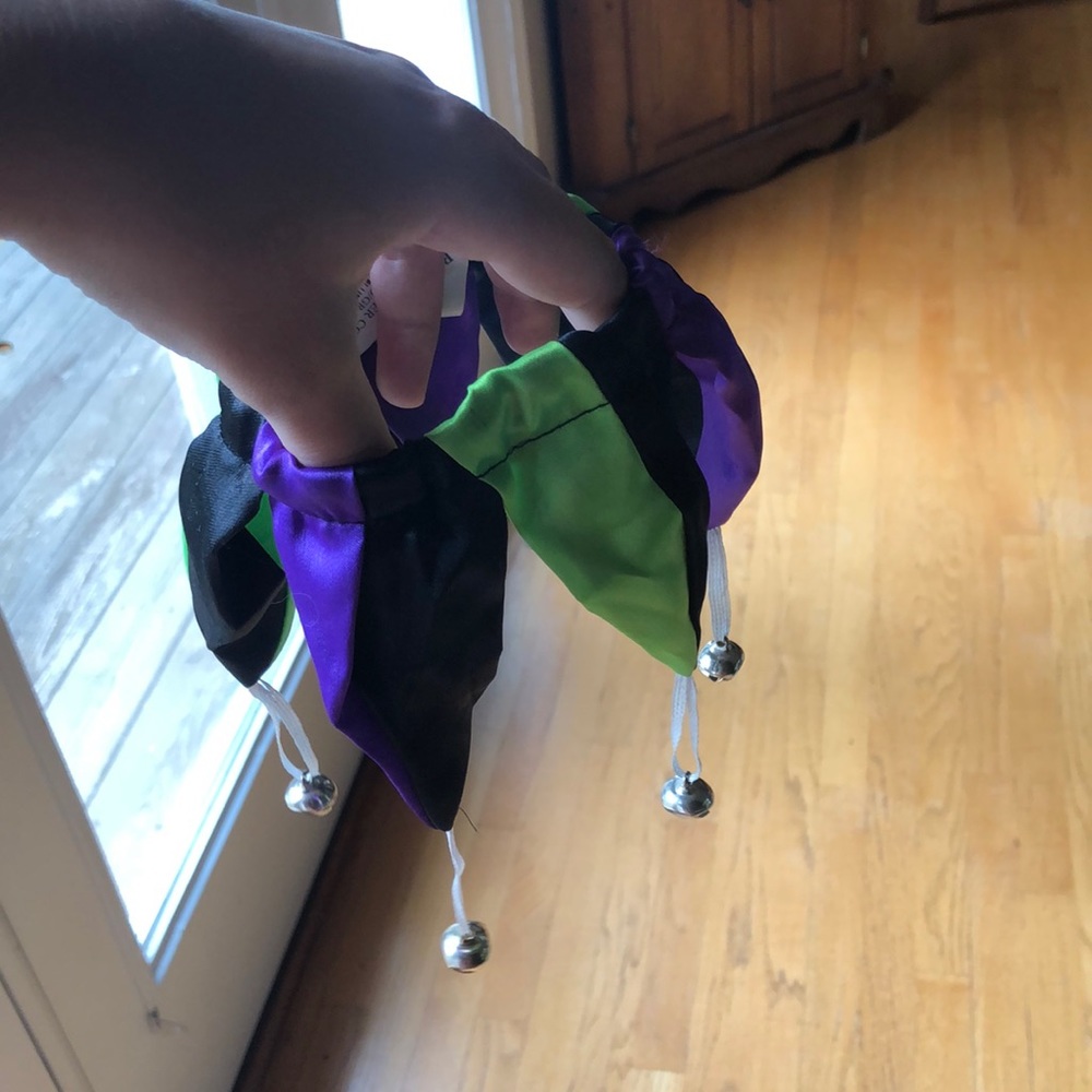 Dog jester collar